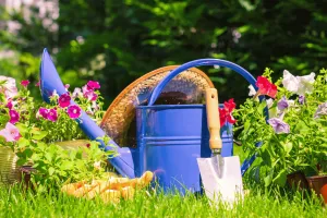 Les Floralies de l'ACBV