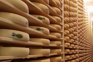 Visite guidée de la fruitière du Pays Grandvallier