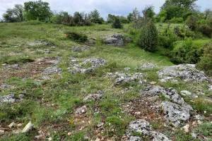 Sortie photo sur l'ENS des Chaumes de la Périsse