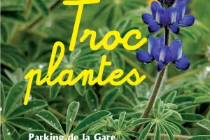 Troc plantes