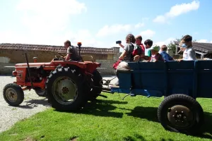 Balade en tracteur vintage - Ferme-musée du Cotentin
