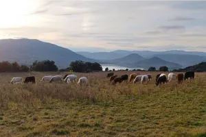 RANDO GOURMANDE SUR LES HAUTEURS DU SALAGOU