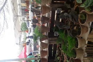 Marché traditionnel saisonnier