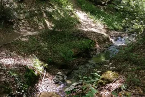 Sortie au Moulin des Fougères