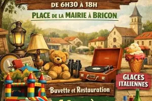 Vide-grenier de Bricon