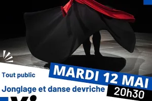 Jonglage et Danse - Yin