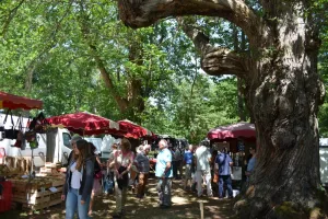 Foire de Caminel