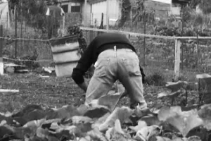 Rando-Paysage : exploration des paysages de la ville nourricière