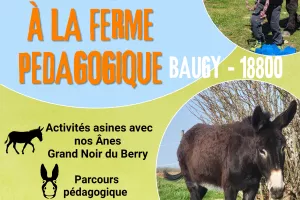 Visite Expliquée de La Ferme
