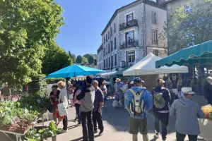 Marché aux fleurs