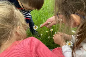 Chasse aux insectes au Jardin «bourdonnant»
