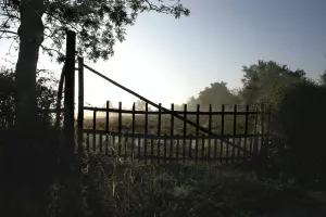 Conférences - Paysages de Gâtine