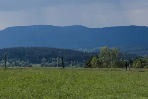 Sentiers Plaisir : Le Champ du Feu, un joyau de la nature