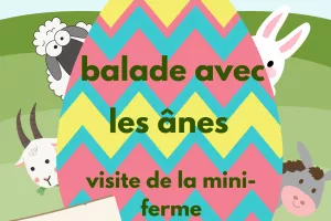 Vacances de Pâques - balade accompagnée
