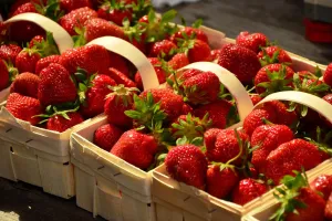 Marché aux fraises