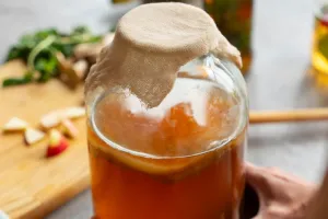 Événement Nature & Vous - Bulles de santé : je crée mes boissons fermentées