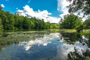 Le Marais de Saône
