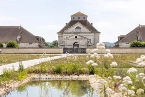 Festival des jardins 2026 - Les insectes : Le monde de la métamorphose