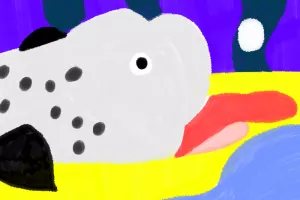 Fario