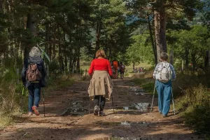Rando découverte et journée récréative