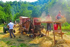 17ÈME FÊTE D’ANTAN
