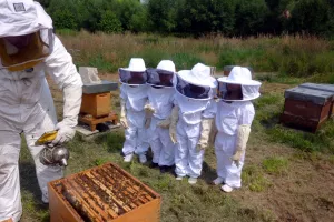 Atelier famille "Apiculture"