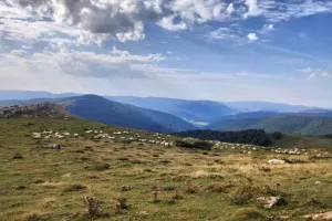 Randonnée acccompagnée Mendi Gaiak : rencontre avec Pauline, bergère à Irati