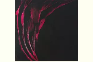 Exposition "Corps à corps avec la toile"