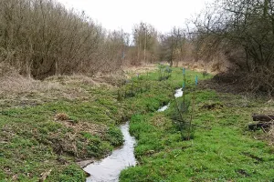Sortie nature à Etouvelles : "Retour à l’état naturel de l’Ardon"