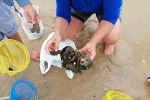 Atelier pêche à pied