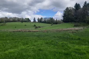 Vis ma vie de spécialiste des zones humides