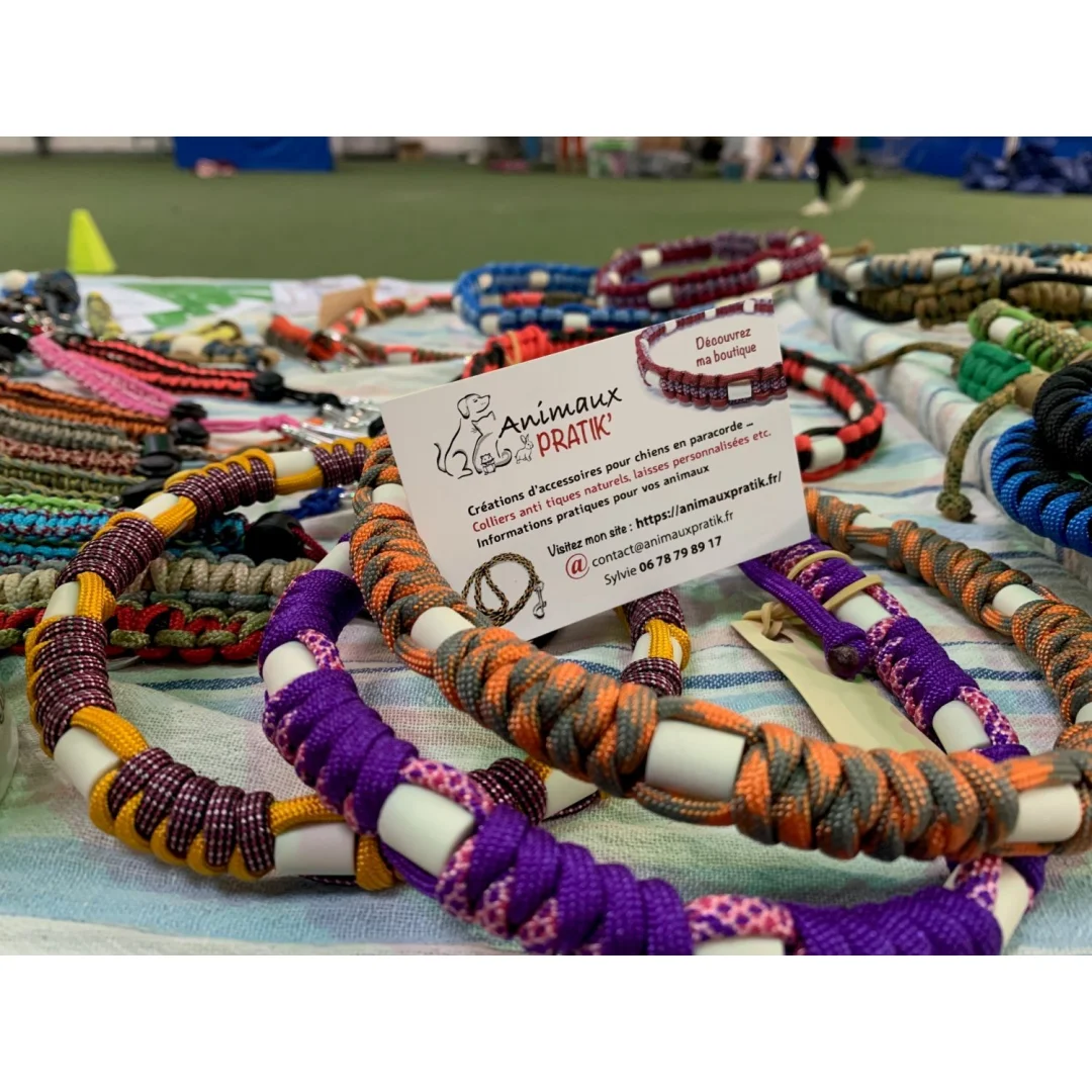 Création d'accessoires canins et équins