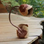 LG Tournage sur Bois